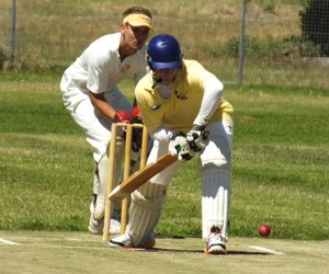 Krieketnuus (26 Nov 2015)